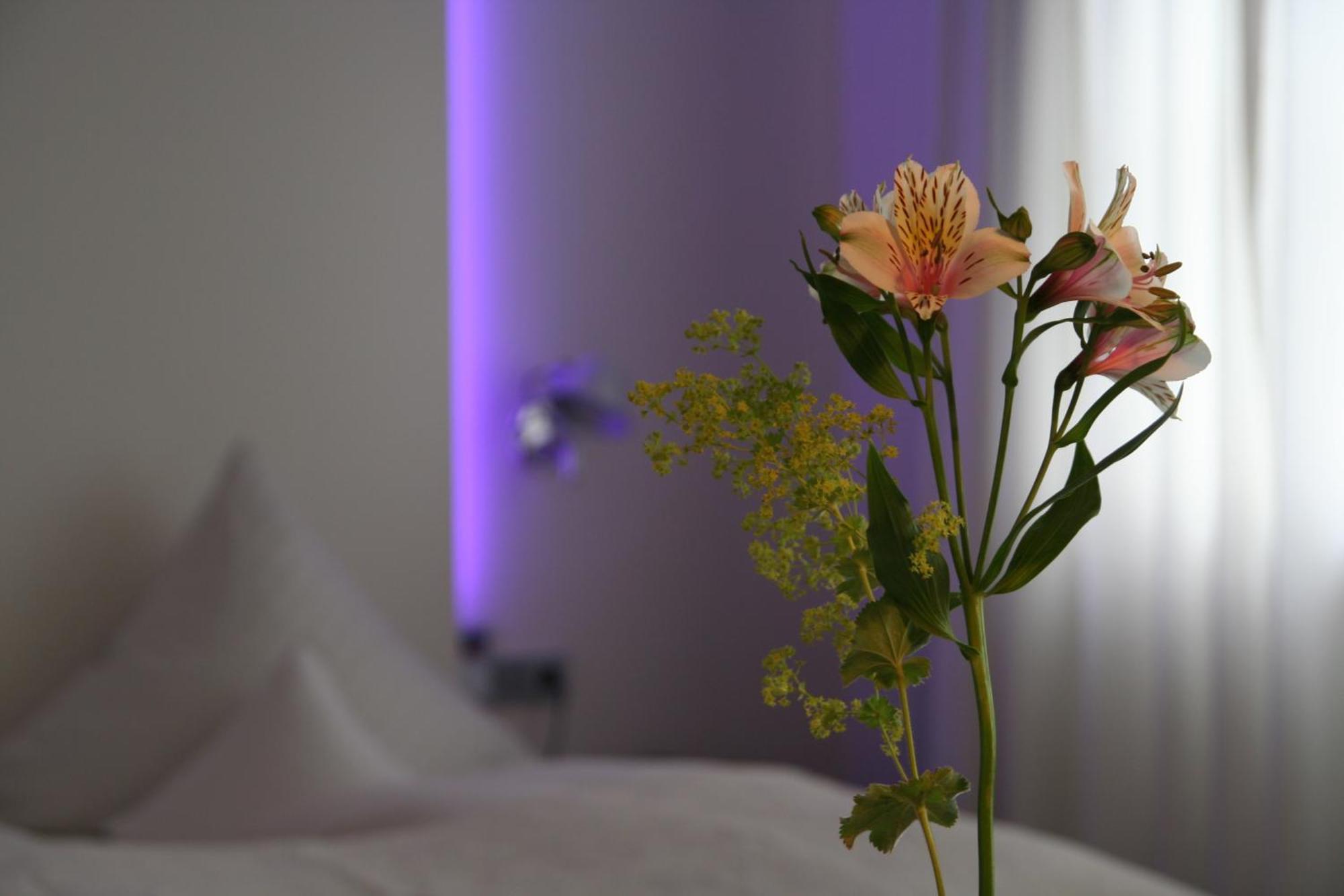 Hotel Am Main Veitshochheim Ruang foto